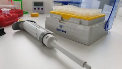 Bernau LIVE - Dein Stadtmagazin für Bernau bei Berlin