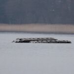 Munitionssuche im Wandlitzsee: Schwimmbagger kippte kopfüber ins Wasser 6 Bernau LIVE