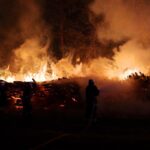 Schon wieder brennt es! Holz/Wald zwischen Basdorf und Schönwalde 6 Bernau LIVE