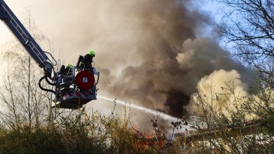 Bernau LIVE - Dein Stadtmagazin für Bernau bei Berlin
