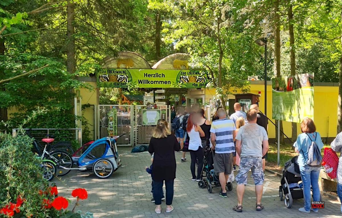 Zoo eberswalde eintritt