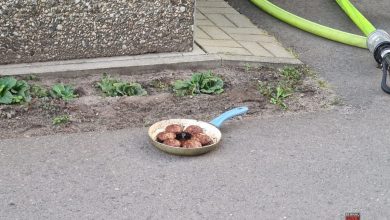 Feuerwehr Bernau - Bernau LIVE