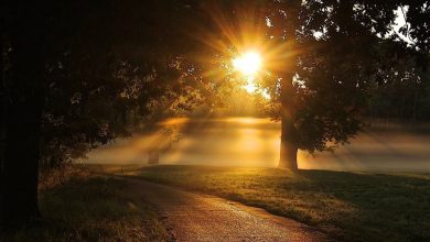 Bernau, Barnim, Bernau LIVE