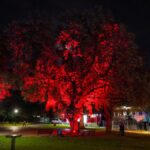 Danke für das großartige Open-Air Konzert-Wochenende in Bernau 14 Bernau LIVE