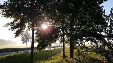 Herbst, Bernau, Barnim, Bernau LIVE