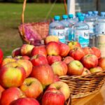 184 Laufende beim 23. Regionalparklauf in Blumberg 6 Bernau LIVE