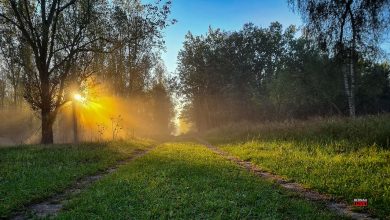 Bernau, Barnim, Bernau LIVE