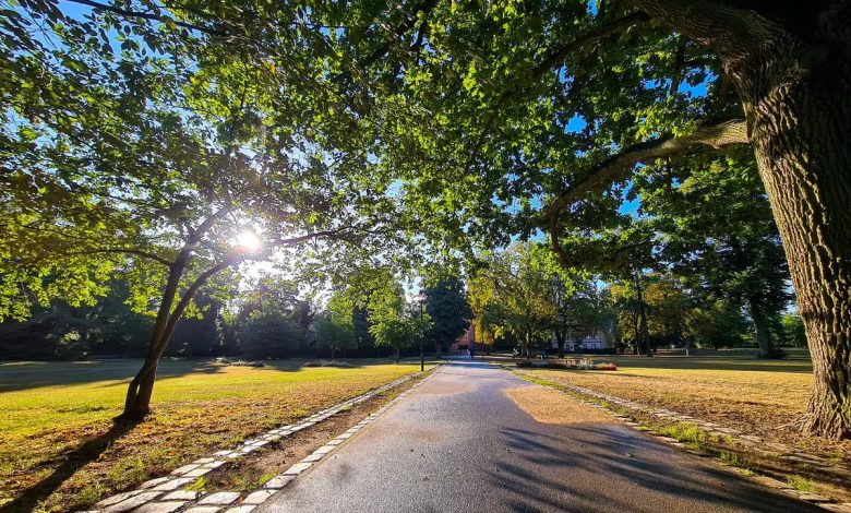 Bernau , Stadtpark Bernau, Bernau LIVE