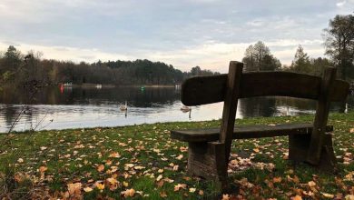 Bernau, Barnim, Herbst, Bernau LIVE