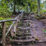 Bernau: Parkgebühren, Mülleimer und Toiletten am Liepnitzsee? 3 Bernau, Herbst, Liepnitzsee, Bernau LIVE