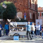 Tag der offenen Tür im Neuen Rathaus Bernau 63 Bernau LIVE