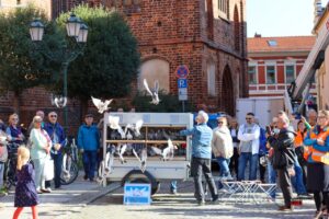 1 Jahr Neues Rathaus Bernau - Happy Birthday, "altes Haus" 22 Bernau LIVE