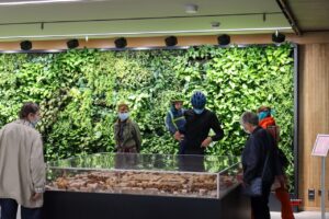 1 Jahr Neues Rathaus Bernau - Happy Birthday, "altes Haus" 37 Bernau LIVE