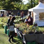 Kloster Chorin lud am Wochenende zu den Kräuter- und Keramiktagen 11 Bernau LIVE