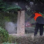 3 Weihnachtsbäume auf einen Streich in Bernau und Biesenthal 16 Bernau LIVE