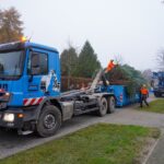 3 Weihnachtsbäume auf einen Streich in Bernau und Biesenthal 13 Bernau LIVE