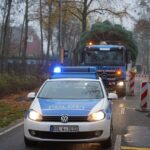 3 Weihnachtsbäume auf einen Streich in Bernau und Biesenthal 15 Bernau LIVE