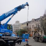 3 Weihnachtsbäume auf einen Streich in Bernau und Biesenthal 14 Bernau LIVE