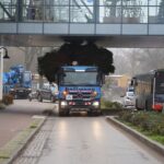 3 Weihnachtsbäume auf einen Streich in Bernau und Biesenthal 26 Bernau LIVE