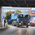 3 Weihnachtsbäume auf einen Streich in Bernau und Biesenthal 28 Bernau LIVE