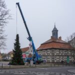 3 Weihnachtsbäume auf einen Streich in Bernau und Biesenthal 42 Bernau LIVE