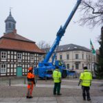 3 Weihnachtsbäume auf einen Streich in Bernau und Biesenthal 41 Bernau LIVE