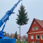 3 Weihnachtsbäume auf einen Streich in Bernau und Biesenthal 33 Bernau LIVE