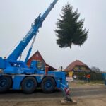 3 Weihnachtsbäume auf einen Streich in Bernau und Biesenthal 34 Bernau LIVE