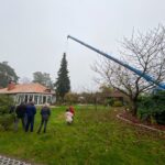 3 Weihnachtsbäume auf einen Streich in Bernau und Biesenthal 45 Bernau LIVE