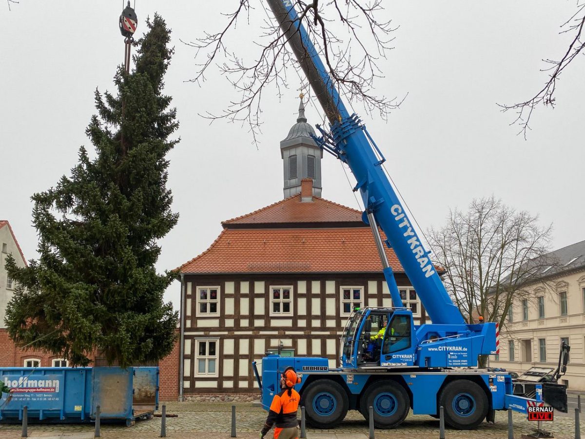 Weihnachtsbaum Biesenthal