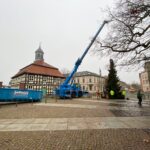 3 Weihnachtsbäume auf einen Streich in Bernau und Biesenthal 48 Bernau LIVE