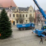 3 Weihnachtsbäume auf einen Streich in Bernau und Biesenthal 8 Bernau LIVE
