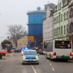 3 Weihnachtsbäume auf einen Streich in Bernau und Biesenthal 2 Bernau LIVE