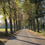 Bernau LIVE wünscht einen gemütlichen Start ins Wochenende 2 Bernau LIVE