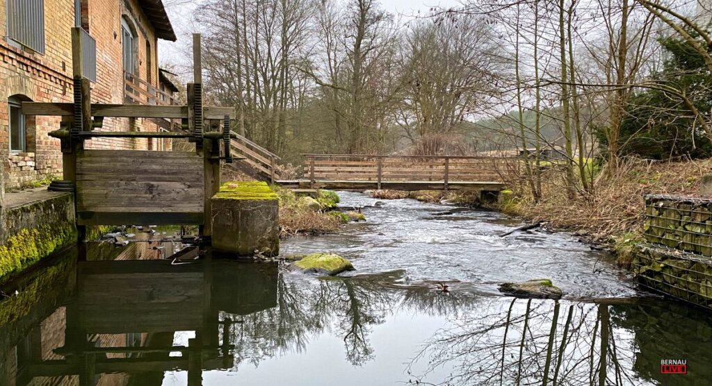 Guten Morgen aus Bernau: Wenn der Dienstag sich wie Montag anfühlt 6 Wehrmühle, Biesenthal, Dezember