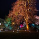 Advent in Bernau, Biesenthal und Finowfurt - Gottesdienst Kirche Ladeburg 41 Bernau LIVE