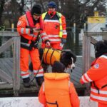 Personensuche mit Unterstützung der Feuerwehr Bernau 9 Personensuche Templin, Feuerwehr, Feuerwehr Bernau