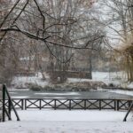 Ho, ho, ho und einen schönen Sonntag in und um Bernau 2 Bernau LIVE