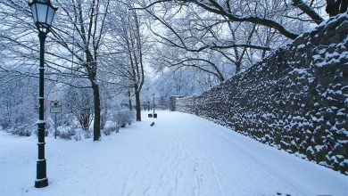 Schnee, Winter, Bernau