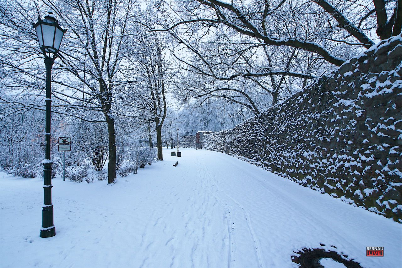 Schnee, Winter, Bernau