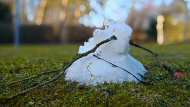 Schneemann, Bernau LIVE