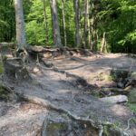 Bernau: Parkgebühren, Mülleimer und Toiletten am Liepnitzsee? 11 Bernau LIVE