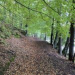 Bernau: Parkgebühren, Mülleimer und Toiletten am Liepnitzsee? 10 Bernau LIVE