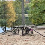 Bernau: Parkgebühren, Mülleimer und Toiletten am Liepnitzsee? 12 Bernau LIVE