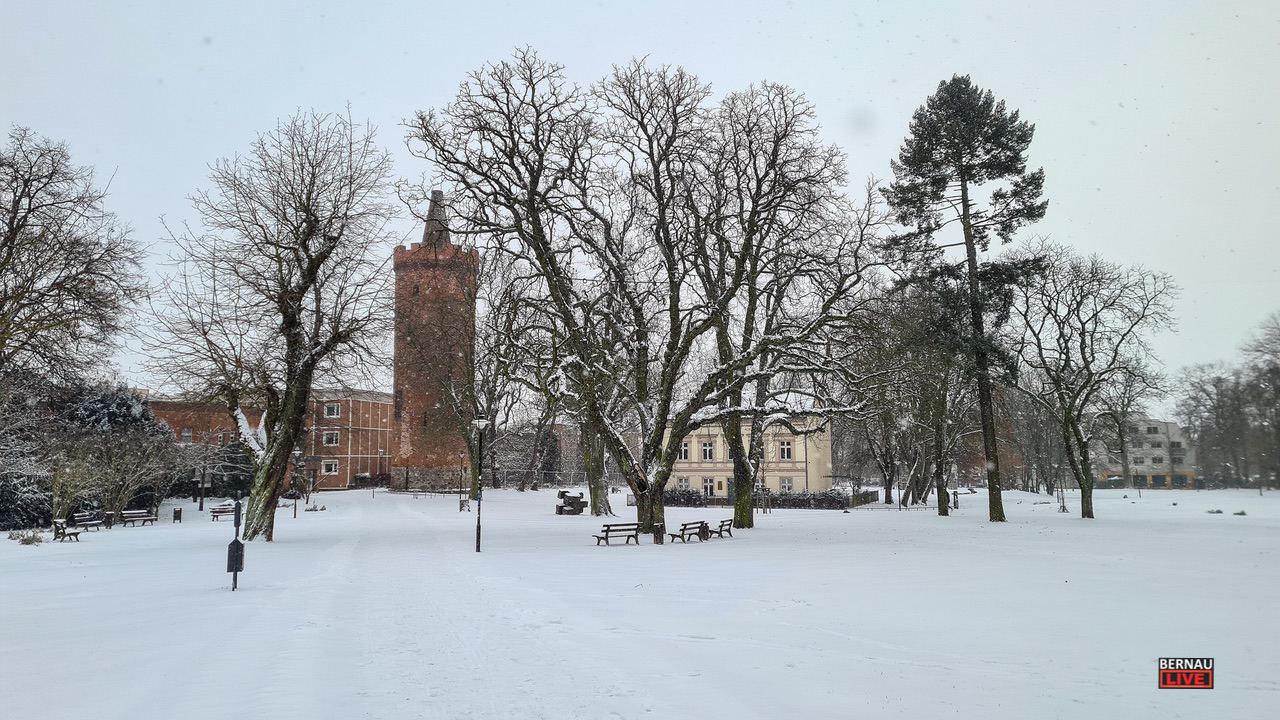 Bernau Stadtpark Schnee