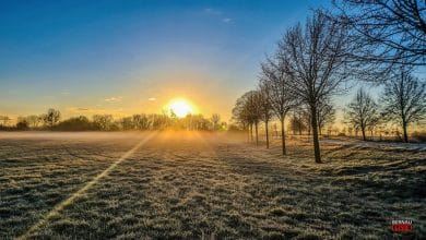 Bernau, Bernau bei Berlin, Bernau LIVE