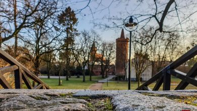 Bernau, Stadtpark Bernau, Bernau LIVE