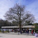 Richtfest für das Besucherzentrum am Bauhaus Denkmal Bernau 5 Bernau LIVE