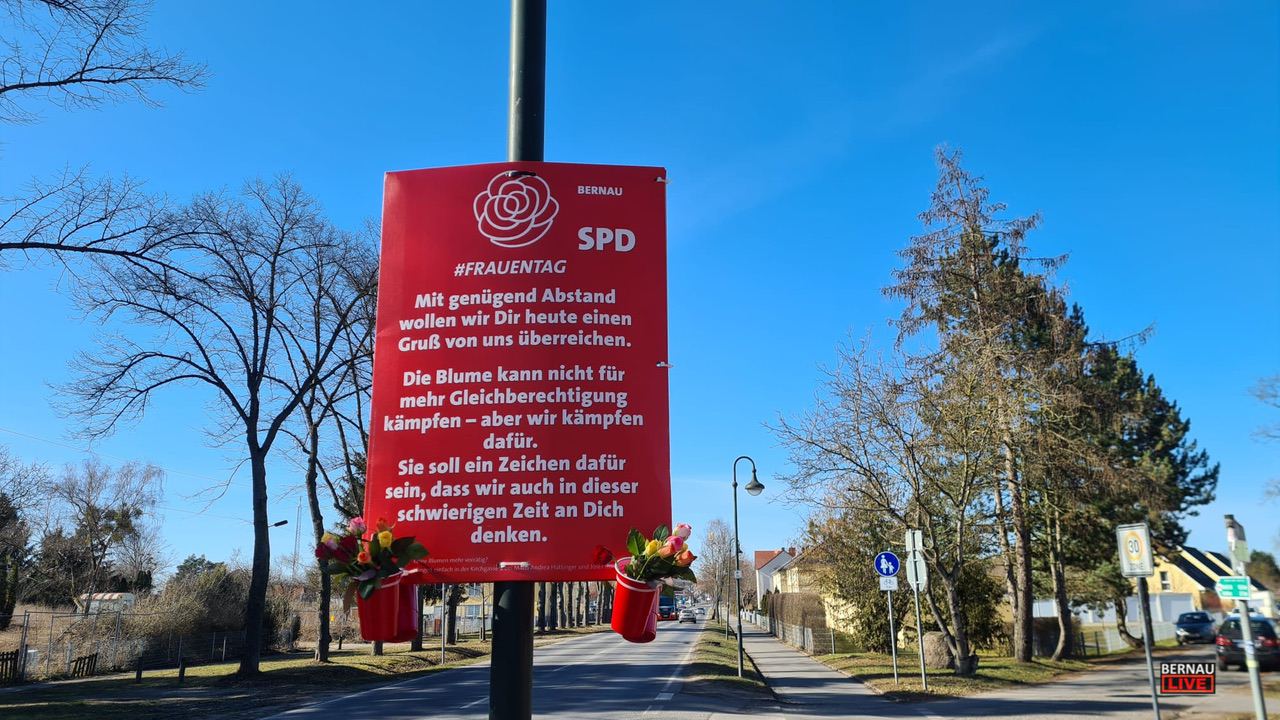 Rosen Frauentag SPD 2