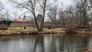 Schwanenteich Bernau